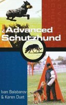 Advanced Schutzhund