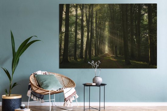 Canvas schilderij 150x100 cm - Wanddecoratie Bospad - Zonnestralen - Horizon - Bomen - Bos - Muurdecoratie woonkamer - Slaapkamer decoratie - Kamer accessoires - Schilderijen op canvas