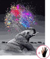 Schilderen Op Nummer Volwassenen Olifant Met Gekleurde Verf – 40x50 cm - Inclusief Tekenhandschoen - Paint By Number Volwassenen