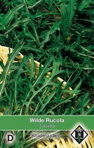 Van Hemert Zaden - Wilde Rucola (Diplotaxis erucoides Sylvetta)