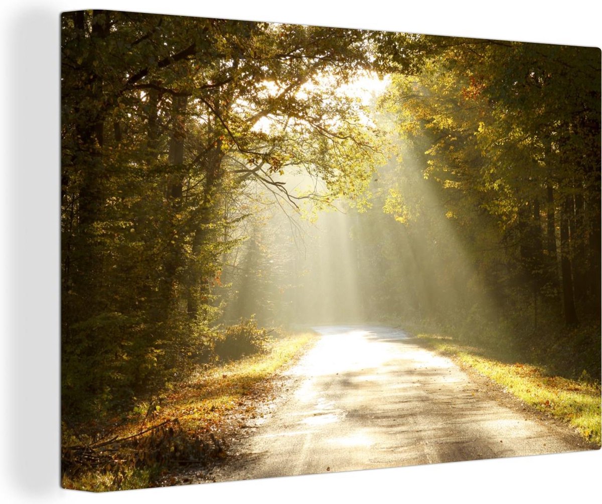 MuchoWow Canvas Schilderij Decoratie - 90x60 cm - Bos