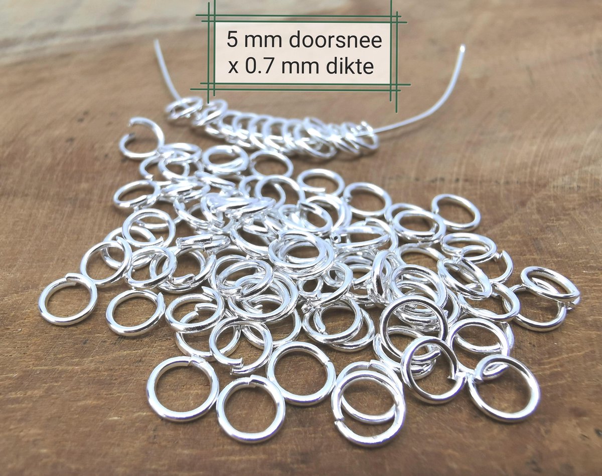 RVS Open ringetjes 10x1mm: Staal - Limited Edition