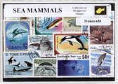 Zeezoogdieren – Luxe postzegel pakket (A6 formaat) : collectie van 50 verschillende postzegels van zeezoogdieren – kan als ansichtkaart in een A6 envelop - authentiek cadeau - kado