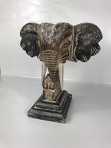 Beeld olifantenkop uniek