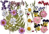Geperste bloemen mix | Gedroogde bloemen en bladeren | Knutselen, creatief | Roze, witte, blauw, paarse, gele bloemen