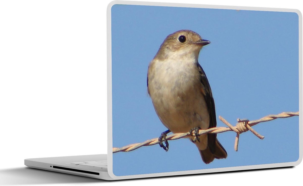 Afbeelding van product SleevesAndCases  Laptop sticker - 11.6 inch - Een bonte vliegenvanger met een blauwe lucht