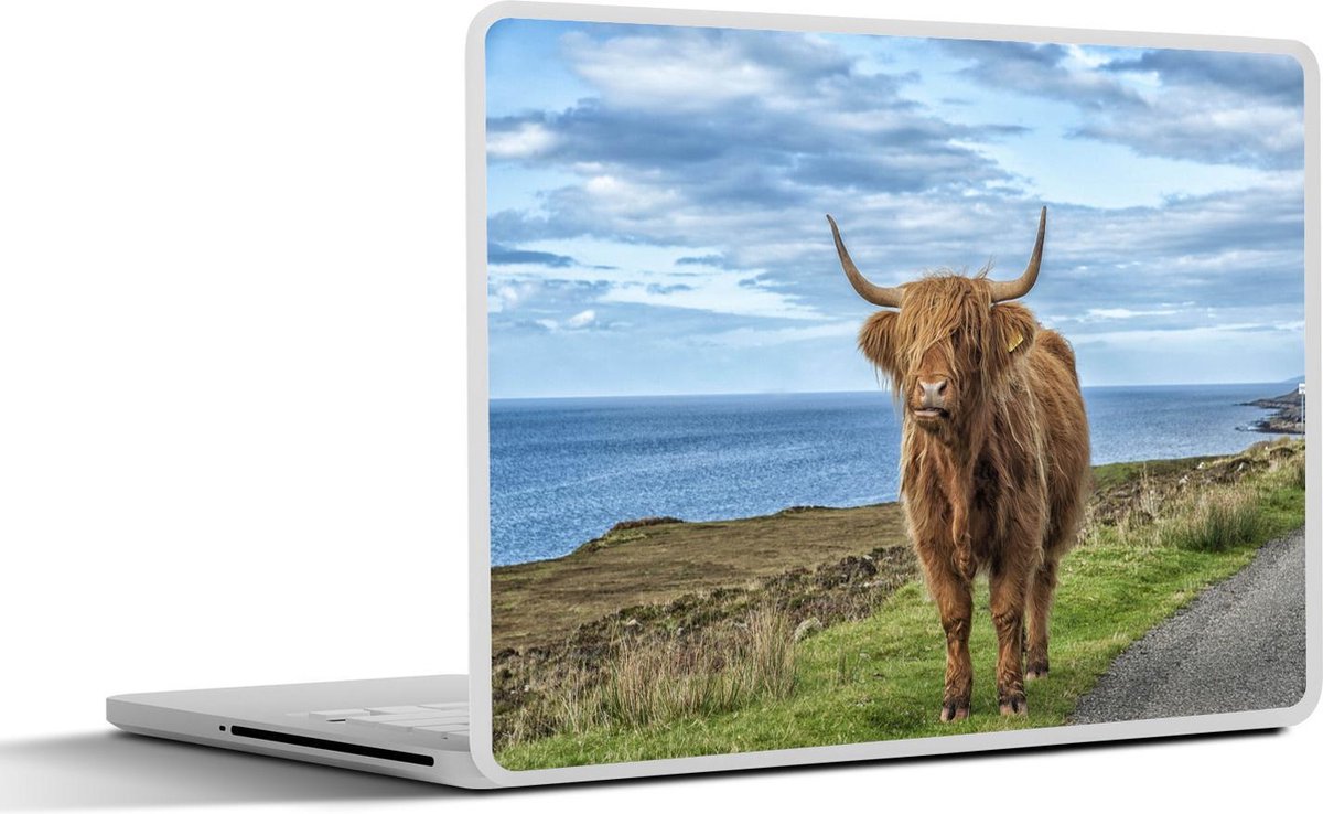 Afbeelding van product SleevesAndCases  Laptop sticker - 17.3 inch - Schotse Hooglander - Water - Horens