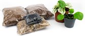 DIY Gesloten terrarium kit  Met planten en instructies