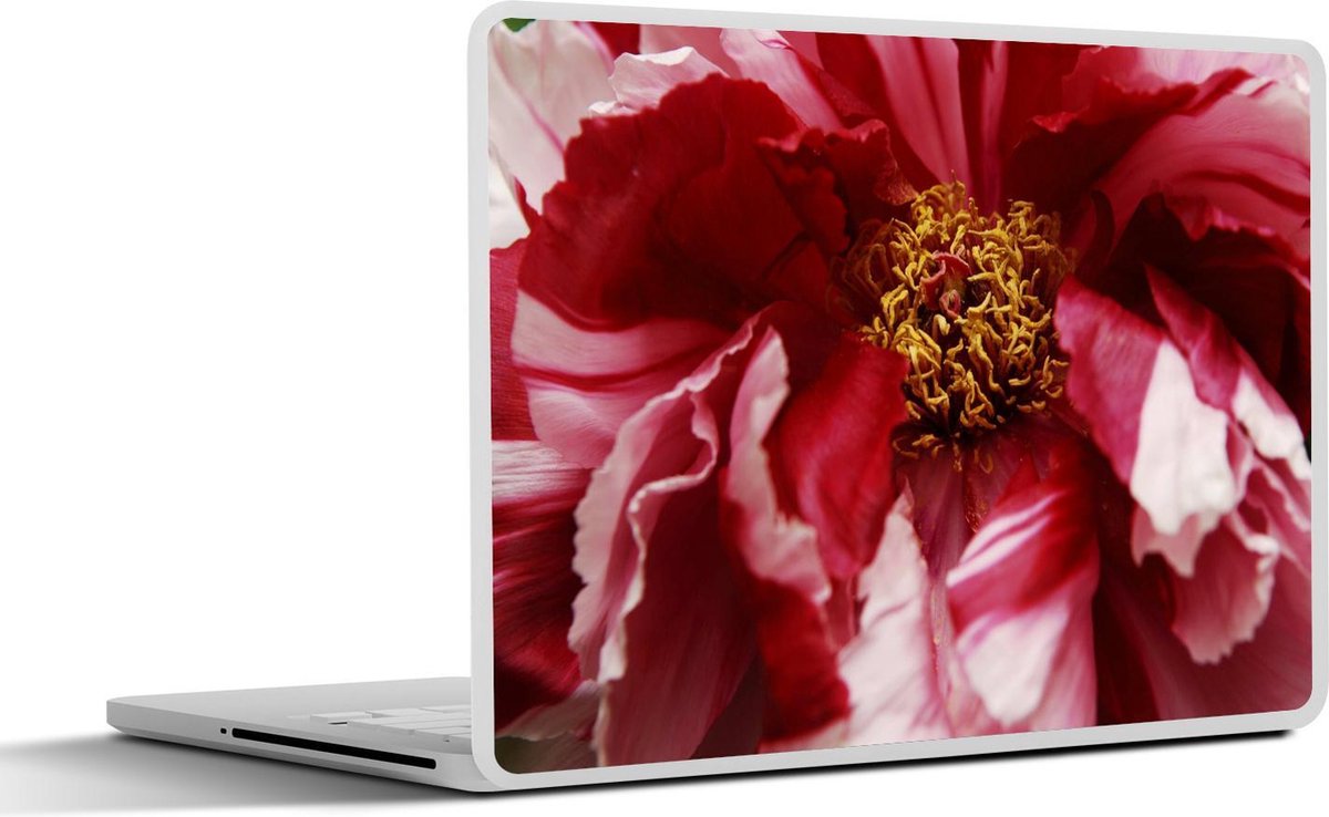 Afbeelding van product SleevesAndCases  Laptop sticker - 11.6 inch - Een uitgebloeide rode pioenroos
