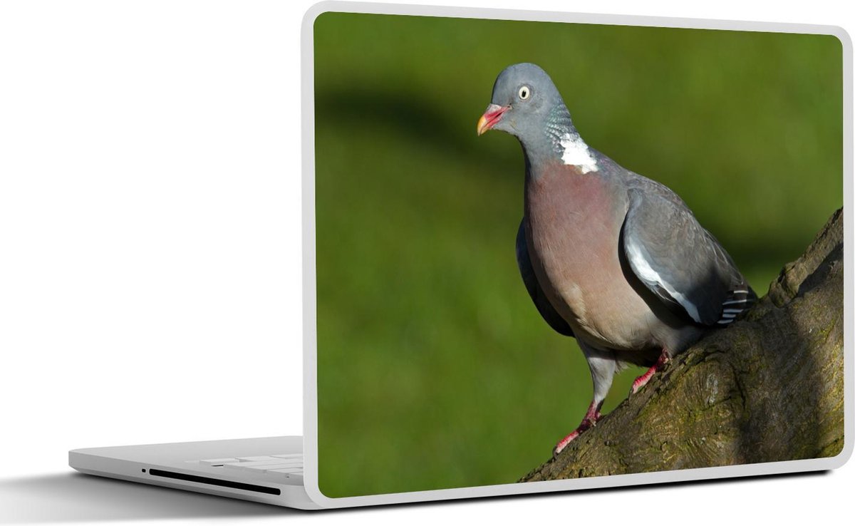 Afbeelding van product SleevesAndCases  Laptop sticker - 12.3 inch - Houtduif - Boom - Vogel