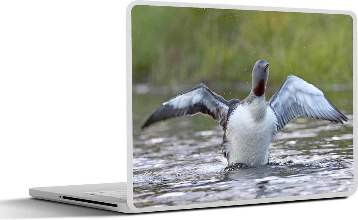 Afbeelding van product SleevesAndCases  Laptop sticker - 13.3 inch - Roodkeelduiker flappert zijn vleugels boven het water