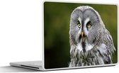 Laptop sticker - 11.6 inch - Vogel - Uil - Grijs - 30x21cm - Laptopstickers - Laptop skin - Cover