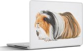 Laptop sticker - 14 inch - Een langharige cavia illustratie - 32x5x23x5cm - Laptopstickers - Laptop skin - Cover