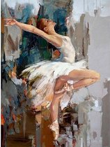Schilderenopnummers.com® - Schilderen op nummer volwassenen - Ballerina in het wit - 50x40 cm - Paint by numbers
