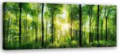 Schilderij Zonsopkomst door de bomen, 120x40cm