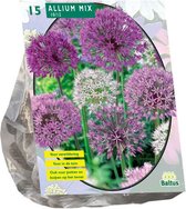 Plantenwinkel Allium Mix Paars-Wit bloembollen per 15 stuks