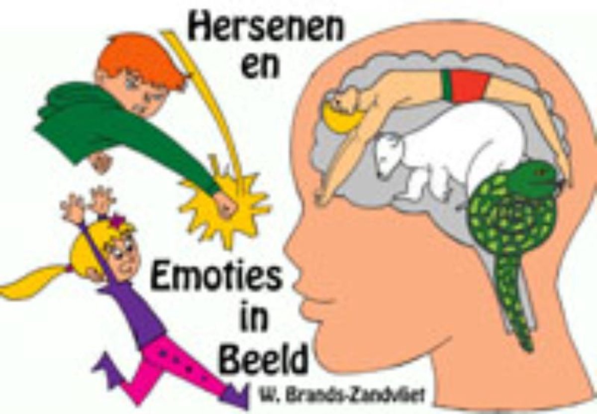 Hersenen En Emoties In Beeld W Brands Zandvliet Boeken Bol