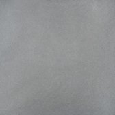 Bol.com-Minimaal 10 stuks afnemen Minimaal 10! Flat Tiles Silver Donkergrijs-aanbieding Bol.com-Minimaal 10 stuks afnemen Minimaal 10! Flat Tiles Silver Donkergrijs-aanbieding