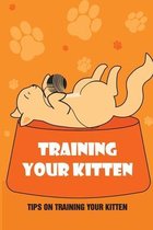 Training Your Kitten: Tips On Training Your Kitten