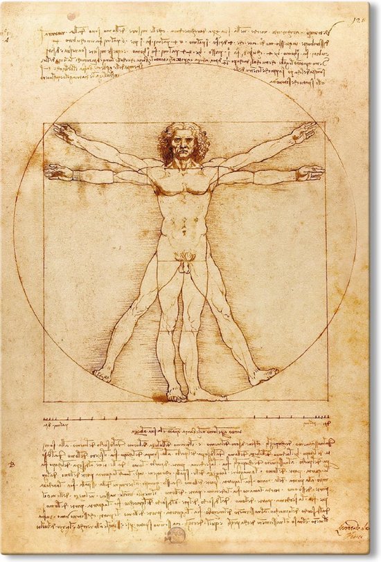 Canvas Schilderij Vitruviusman - Leonardo da Vinci - 100x150 cm