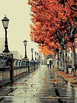 Premium Paintings - Straat stad herfst - Schilderen op nummer - 40x50 cm - Met frame - Inclusief tools - Paint by number - Volwassenen - Kinderen