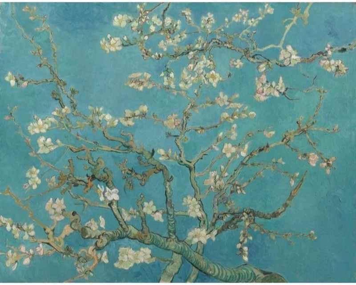 Diamond painting - Amandelbloesem van Vincent van Gogh - Oude meesters - Geproduceerd in Nederland - 40 x 60 cm - dibond materiaal - vierkante steentjes - Binnen 2-3 werkdagen in huis