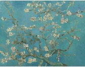 Peinture au Diamond - Fleur d'amandier par Vincent van Gogh - Fabriqué aux Nederland - 40 x 60 cm - matériau dibond - pierres carrées + stylo de luxe gratuit d'une valeur de 12,99