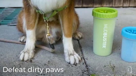 Mudbuster : l'invention de ce nettoyeur de pattes de chiens fait