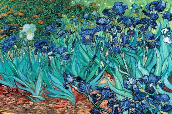 Pyramid Poster - Van Gogh Les Irises - 61 X 91.5 Cm - Multicolor