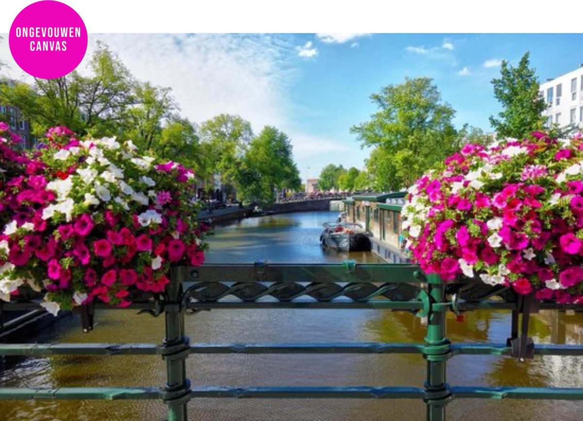 Schilderen op nummer Volwassenen - Bloemen - Amsterdam - Kleuren op Nummer - 40x50 cm — afbeelding 4