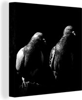 Peinture sur toile Deux pigeons sur fond noir - noir et blanc - 90x90 cm - Art Décoration murale