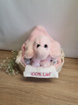 Kraamcadeau meisje olifantje | geboortecadeau | Babyshower| Snel en gratis verzonden