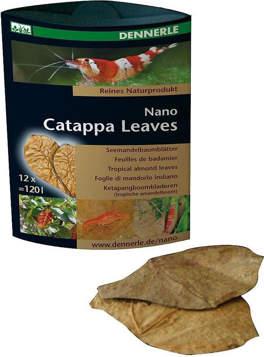 Dennerle nano catappa leaves