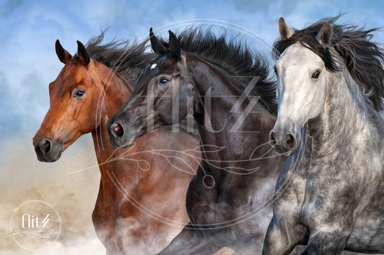 100% Nederlandse Productie! │ Diamond Painting │ Wilde Paarden 01 │ Formaat 120 x 80 cm │ Diamond Painting Pakket Volwassen │ Volledige bedekking │ Vierkant │ Full │ Flitzz Diamond Painting