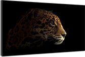 Schilderij -Luipaard in het donker III, 100x70cm, premium print