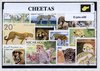 Afbeelding van het spelletje Jachtluipaarden – Luxe postzegel pakket (A6 formaat) : collectie van verschillende postzegels van jachtluipaarden – kan als ansichtkaart in een A6 envelop - authentiek cadeau - kado - geschenk - kaart - Acinonyx jubatus - cheeta - roofdier - kat