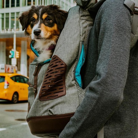 Kurgo K9 Rucksack Stijlvolle Hondenrugzak met Opbergvakken Voor Honden tot 11 kg . bol
