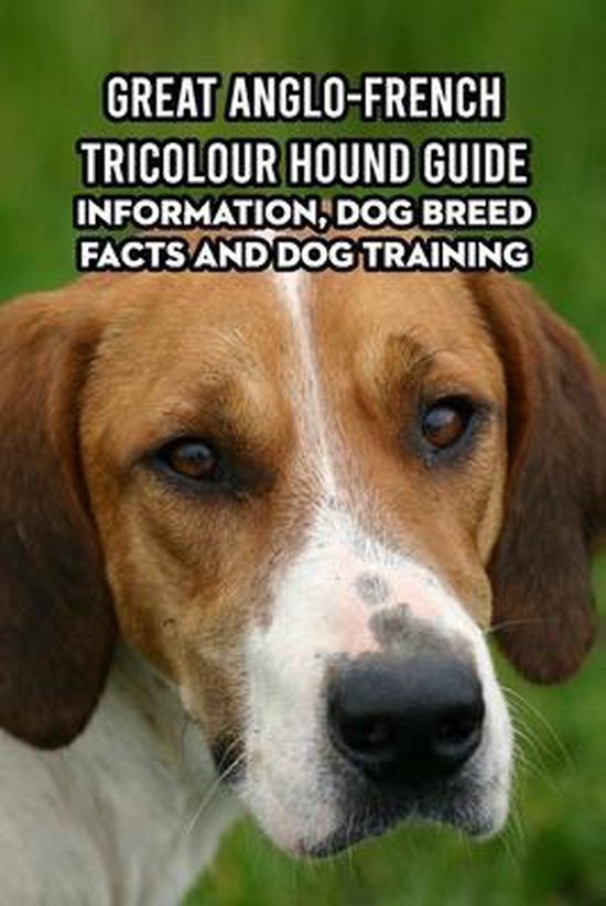 Great Anglo-French Tricolour Hound Guide