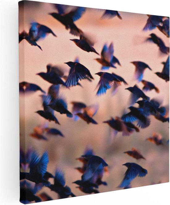Artaza Canvas Schilderij Groep Vliegende Blauwe Spreeuw Vogels - 60x60 - Foto Op Canvas - Canvas Print