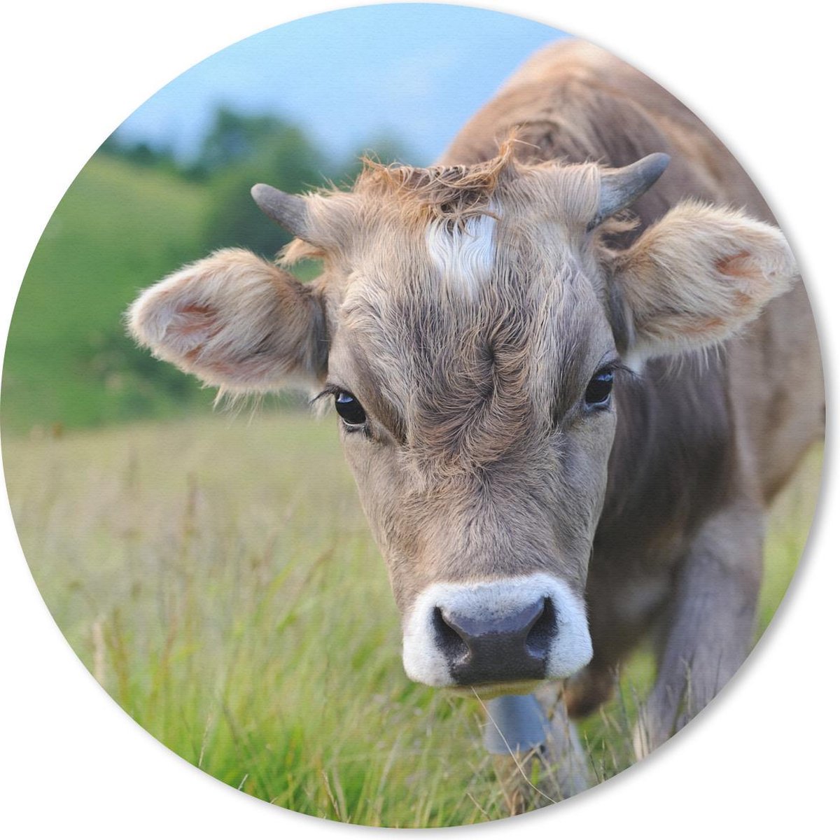 Muismat rond 30x30 cm - Mousepad Koe - Dieren - Bruin - Gras - Ronde muismatten