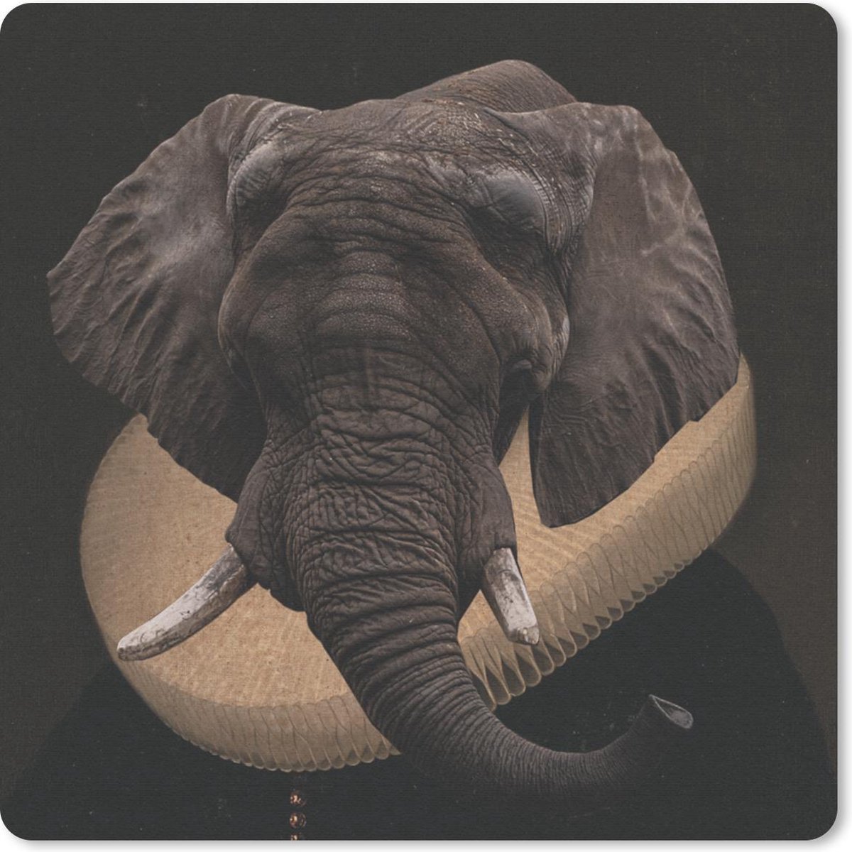 Muismat 20x20 cm - Mousepad Olifant - Portret - Kleding - Muismatten