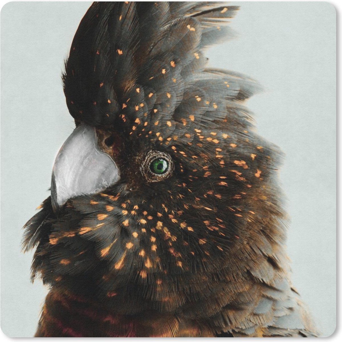 Muismat 30x30 cm - Mousepad Kaketoe - Oranje - Bruin - Muismatten