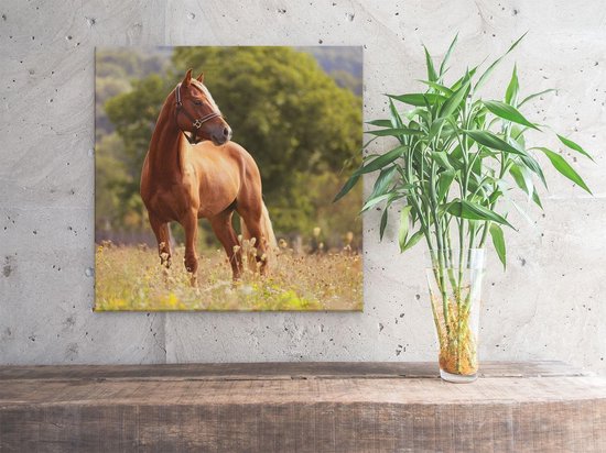 Artaza Peinture Sur Toile Cheval Brun Dans Le Pré - 40x40 - Klein - Photo Sur Toile - Impression Sur Toile