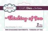 Creative Expressions Stans - 'Thinking of You' - 9,7cm x 1,6cm - Set van 2