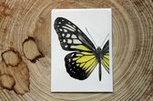 Liljebergs - Dubbele Kaart - Gele Vlinder met enveloppe