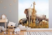 Fotobehang Dieren op Safari - 300x280cm