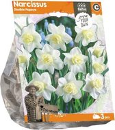Plantenwinkel Narcissus Double Popeye bloembollen per 3 stuks