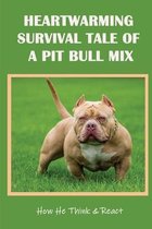 Heartwarming Survival Tale Of A Pit Bull Mix: How He Think & React