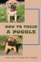 How To Train A Puggle: Learn How To Teach Your Puggle