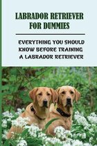 Labrador Retriever For Dummies: Everything You Should Know Before Training A Labrador Retriever